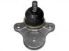 Ball Joint:UA01-99-354