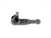 Joint de suspension Ball Joint:FB01-34-550