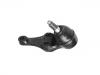 Joint de suspension Ball Joint:T001-34-550B