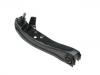控制臂 Control Arm:54500-37P00