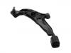 控制臂 Control Arm:54501-9E000