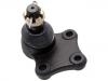 Joint de suspension Ball Joint:W628-34-550