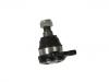 Ball Joint:54554-44001